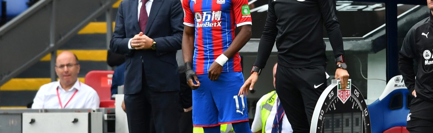 Hodgson hides extent of Palace injury crisis ahead of Gameweek 17