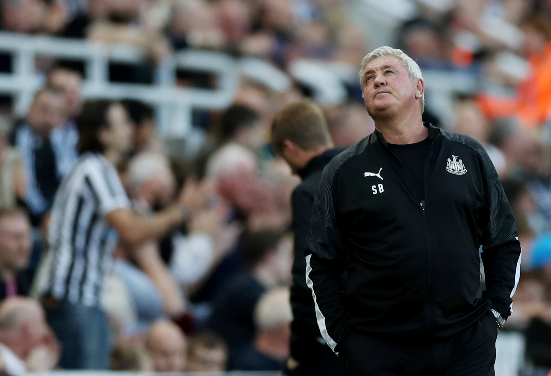 Fantasy managers eye future opponents of Newcastle and Brighton