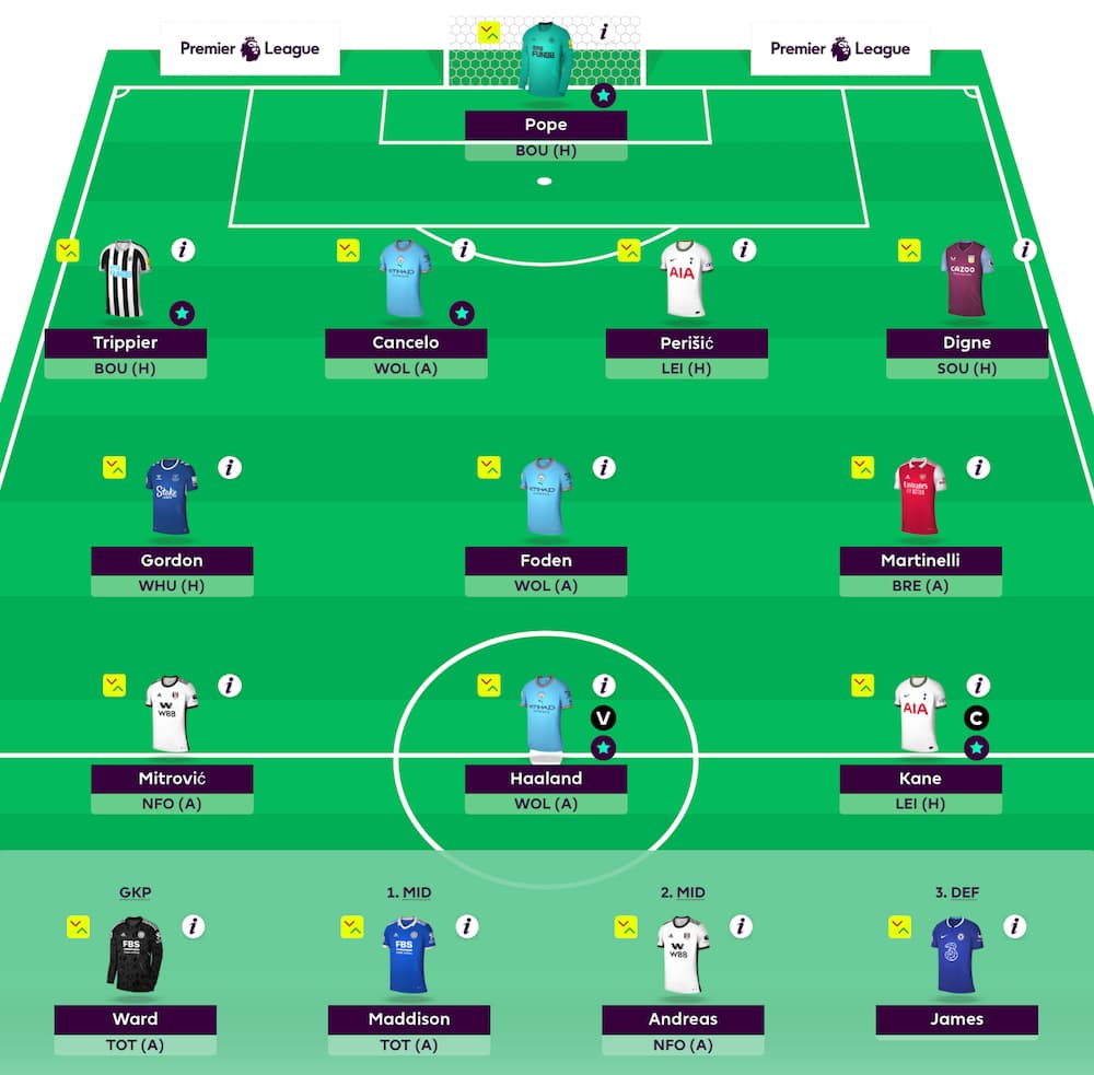 FPL Gameweek 11 early Scout Picks: Kane and Haaland up top - Best