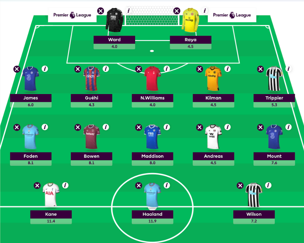 What is the FPL Wildcard chip and when should it be used?
