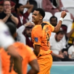 FPL new signings: Assessing the appeal of Cody Gakpo