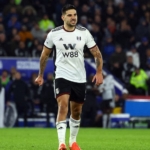FPL review: Mitrovic suspended for second Gameweek 19 fixture