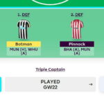 Free Hit dilemma: Double Gameweek 29 v 34