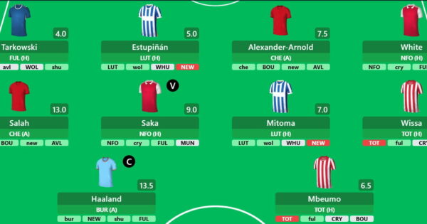 Draft your 2023/24 FPL team with LiveFPL price predictions