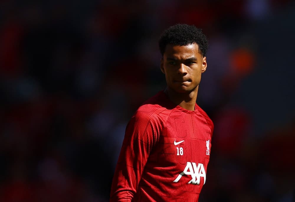 FPL Gameweek 15 differentials: Gakpo, Dubravka + Cunha