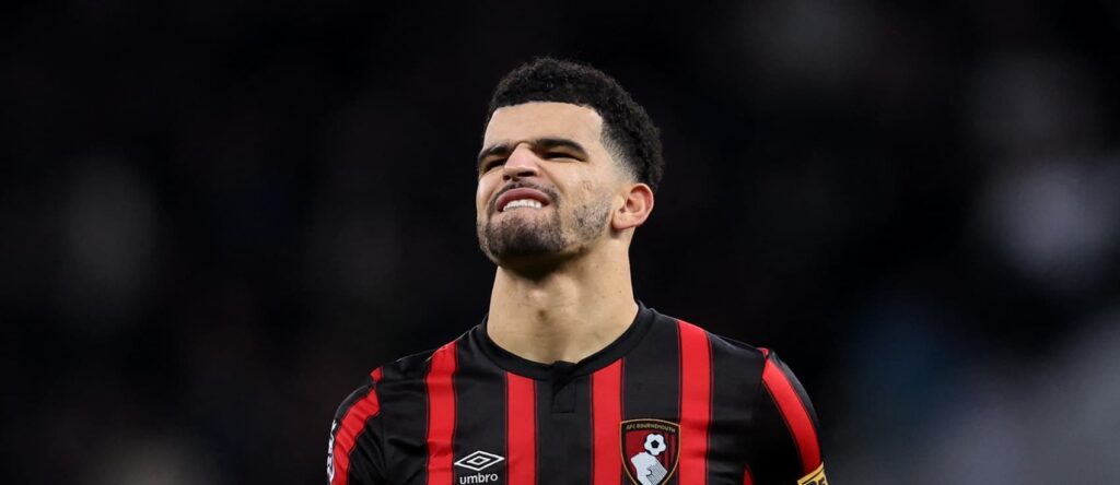 FPL notes: Solanke injury, five-goal Haaland + why Botman missed out