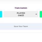 Factors to consider before choosing an FPL chip strategy