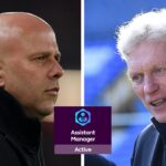 How many used the Assistant Manager chip in FPL Gameweek 24?