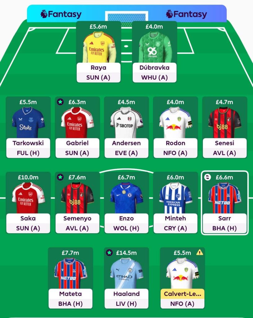 Gameweek 11 team reveal